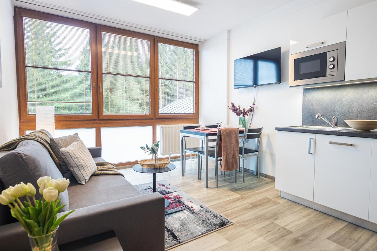 Apartament Rezidence Klinovec Loučná pod Klínovcem Pokój zdjęcie