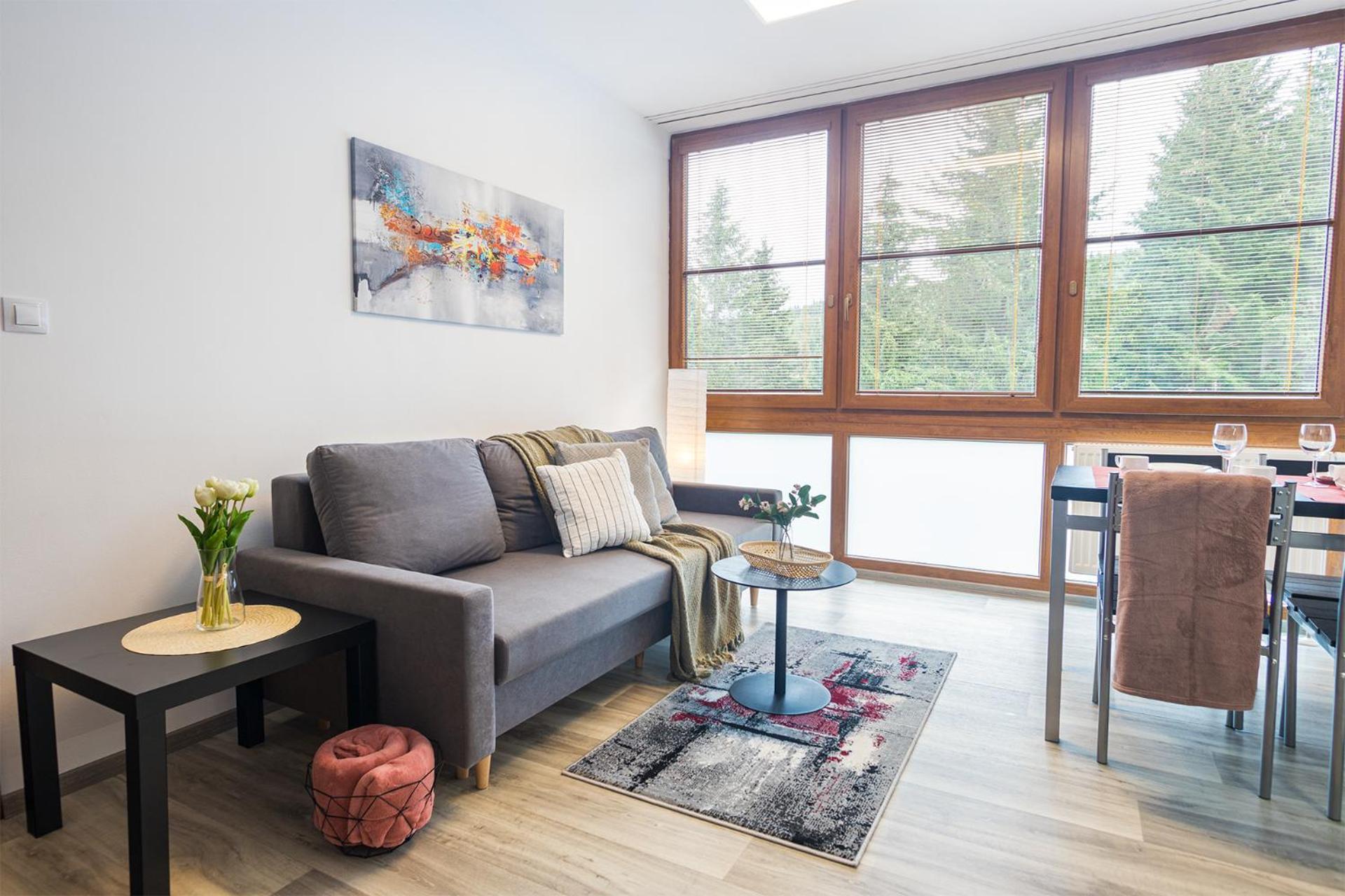 Apartament Rezidence Klinovec Loučná pod Klínovcem Pokój zdjęcie